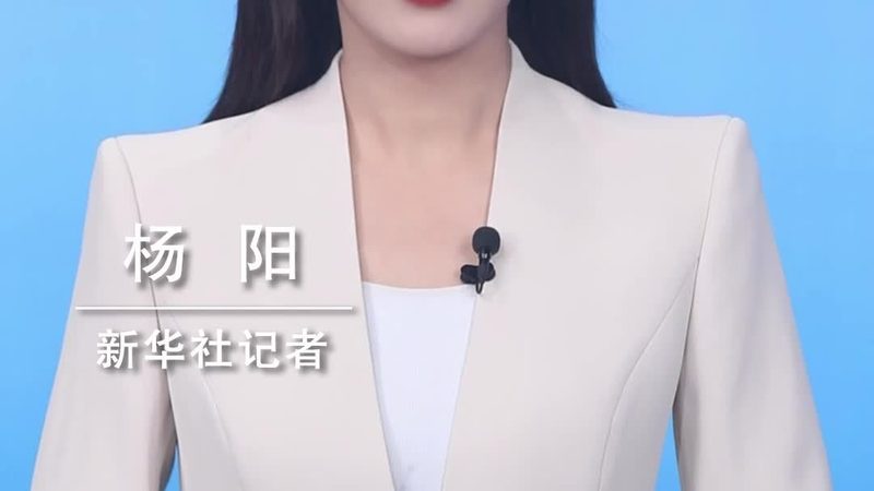 ELT工具操作手册：上海公司如何高效处理大数据